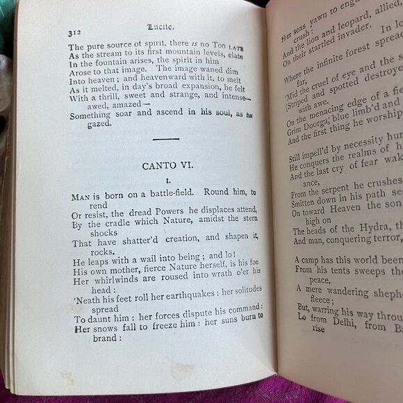 Ca 1901 Antique Book: Lucile by Owen Meredith. Illustrated. - Picture 8 of 12